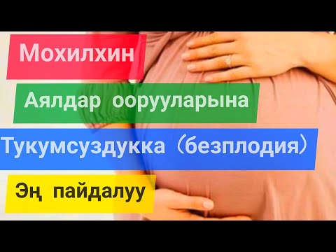 Мохилхин Аялдар оорууларына жана тукумсуздукка эң мыкты даары!!!