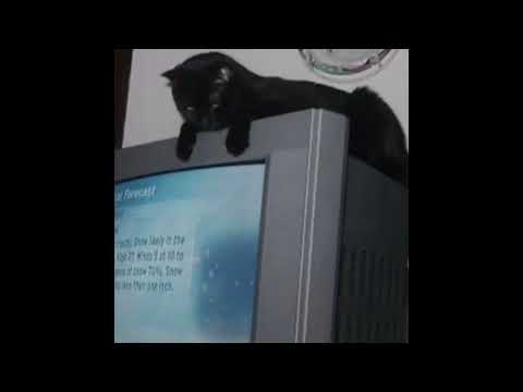 [free for profit] xavier wulf x cloud rap type beat - "Out my body"