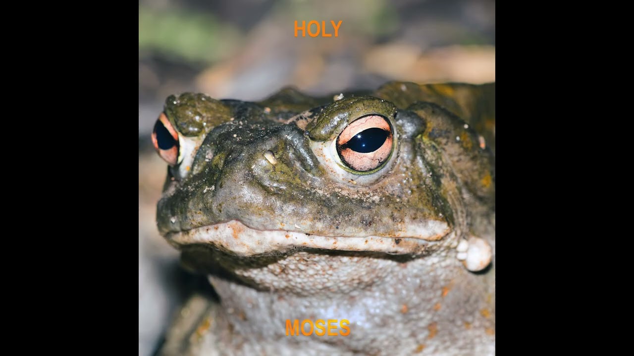 Mackeeper - Holy Moses