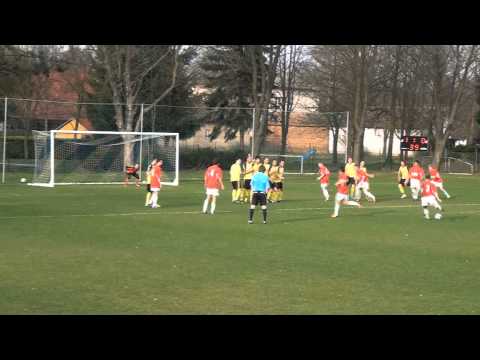 Kratonohy - Dvůr Králové B