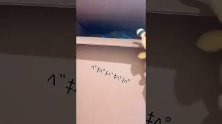 ルカリオ先輩と同棲開始記念動画( ⊃'-'⊂ )♡