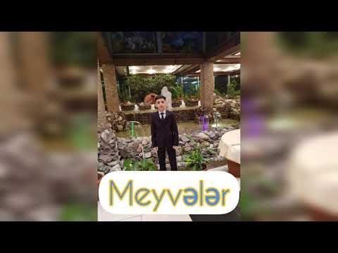 Elgiz Mübarizoğlu -  MEYVƏLƏR 2017