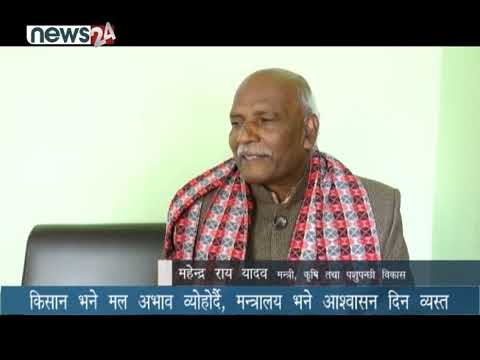 किसान भने मल अभाव व्योहोर्दै, मन्त्रालय भने आश्वासन दिन व्यस्त - NEWS24 TV