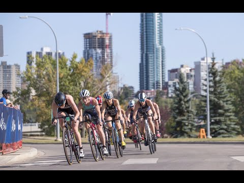 2021 World Triathlon Championship Finals Edmonton Elite Women's Highlights