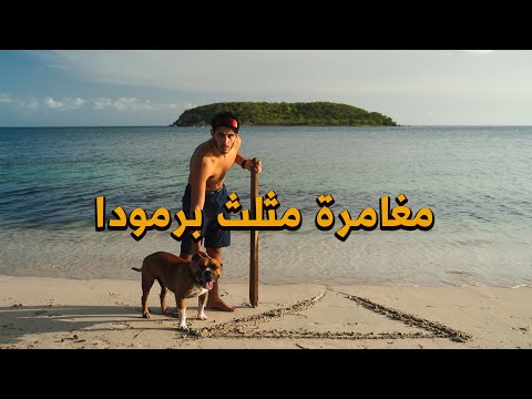img-video