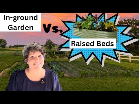 Raised Bed Vs. In-ground Gardens, Unpacking the Pros and Cons!