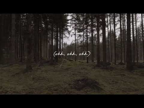 Vices - gavn!
