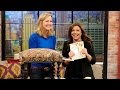 Lara Spencer Upgrades Your Ottoman