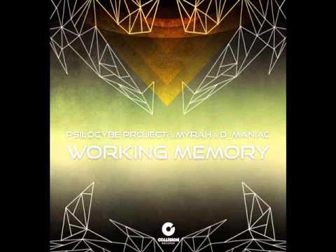Psilocybe Project & Myrah & D_Maniac - Working Memory