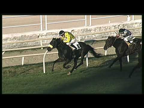 Galoppo 02/11/2020 - 5ª corsa