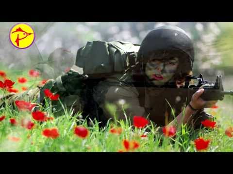 Skylar Grey & David Guetta- (  Dance Mix - New Best 2017) Shot Me Down Drum & Bass, Electro House