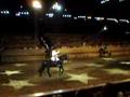 Dixie Stampede