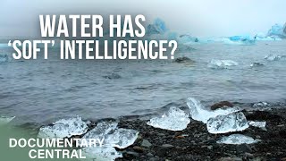 H2O: The Intelligence of Water | The Role of Water in Every Day Life | Documentary Central
