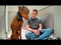 Watch His Reaction When He S Told He S A GOOD BOY For The First Time