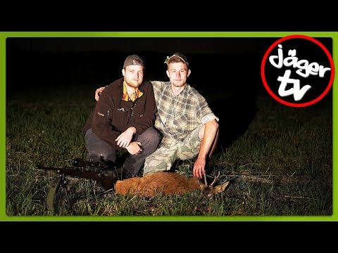 Anfang der Blattzeit | Juli 2018