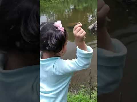 Fun in #rain, Nature #Trails into Jungle of Uran near Mumbai| Natual Pond| #Yashashree