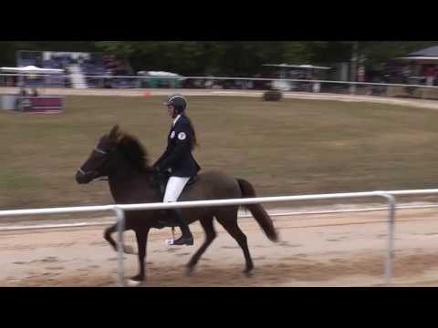 Háfeti von St. Radegund, MEM16T1