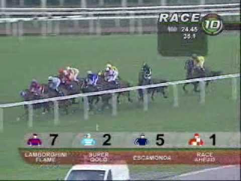 STEWARDS' CUP 30/05/10 - GHOZI