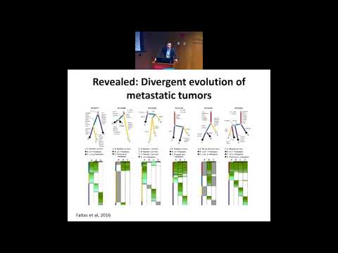 A cancer precision medicine program driven by multi-omics, analytics and modeling - Olivier Elemento