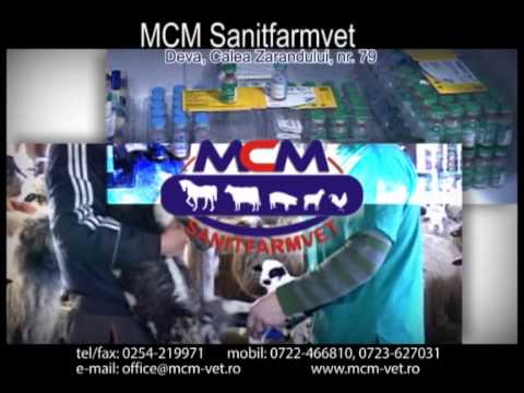 satul hunedorean 18 mai 2014