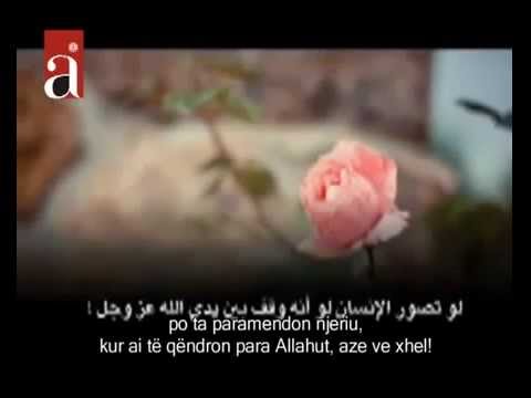 A ka Pendim per ate qe Shikon Filma ( Pornografik )...!!!?