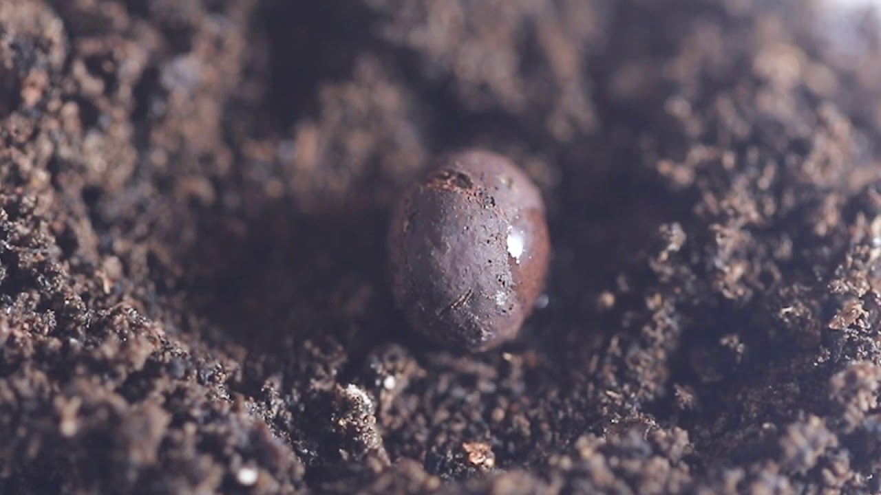 The Space Weather Station Learning Kit