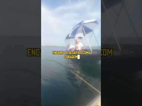 #pescaria #bomdiadeus #fishing #obrigadomeudeus #gratidão #mutivacional #riogrande água comprida-mg