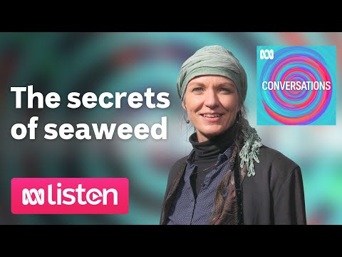 The seaweed scientist who survived being scalped Ecologist Pia Winberg on ABC Conversations