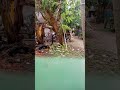 তাকে দেখতে পাওয়ার আশায় Take Dekhte Pawar Asay