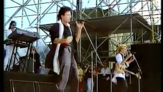 Rick Springfield - Celebrate Youth (Live 1985)
