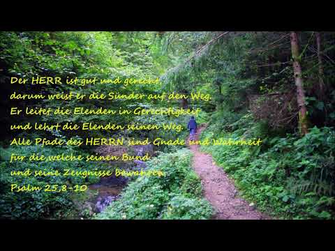 Scripture song Psalm 25,8-10