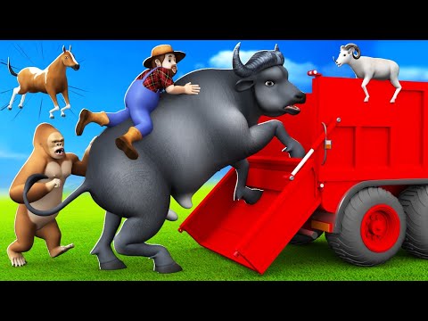 Giant Buffalo Rescued and Transport in Big Truck - Farm Animals Heroes Cow Horse Pig Gorilla