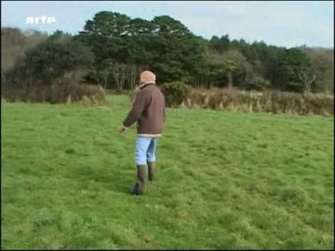 Unser täglich Fleisch - Teil 4