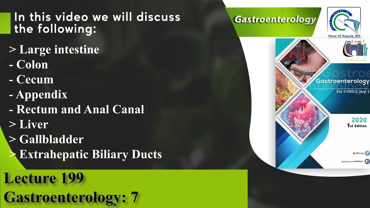 Colon | Cecum | Appendix | Rectum and Anal Canal | Liver | Gallbladder | Extrahepatic Biliary Ducts