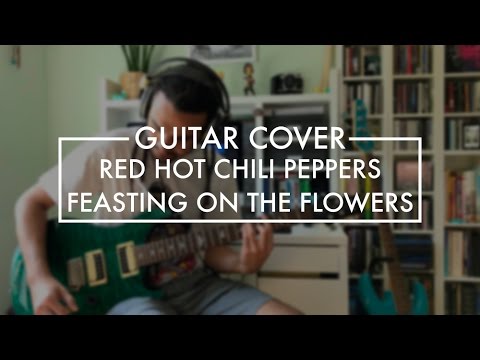 Red Hot Chili Peppers - Feasting on the Flowers (Guitar Cover)
