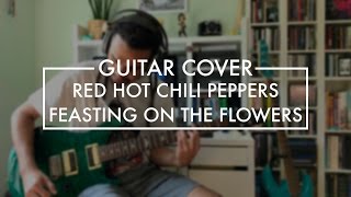 Red Hot Chili Peppers - Feasting on the Flowers (Guitar Cover)