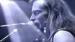 Coroner-Masked Jackal