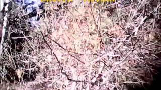 unseen eternal - Living Sacrifices   Romans 12 2