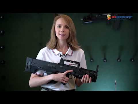 Assault rifle system ShAK-12 12.7 mm