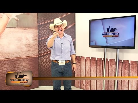 Waguinho Animal 30/04/16 na íntegra | Rodeio em Campinal