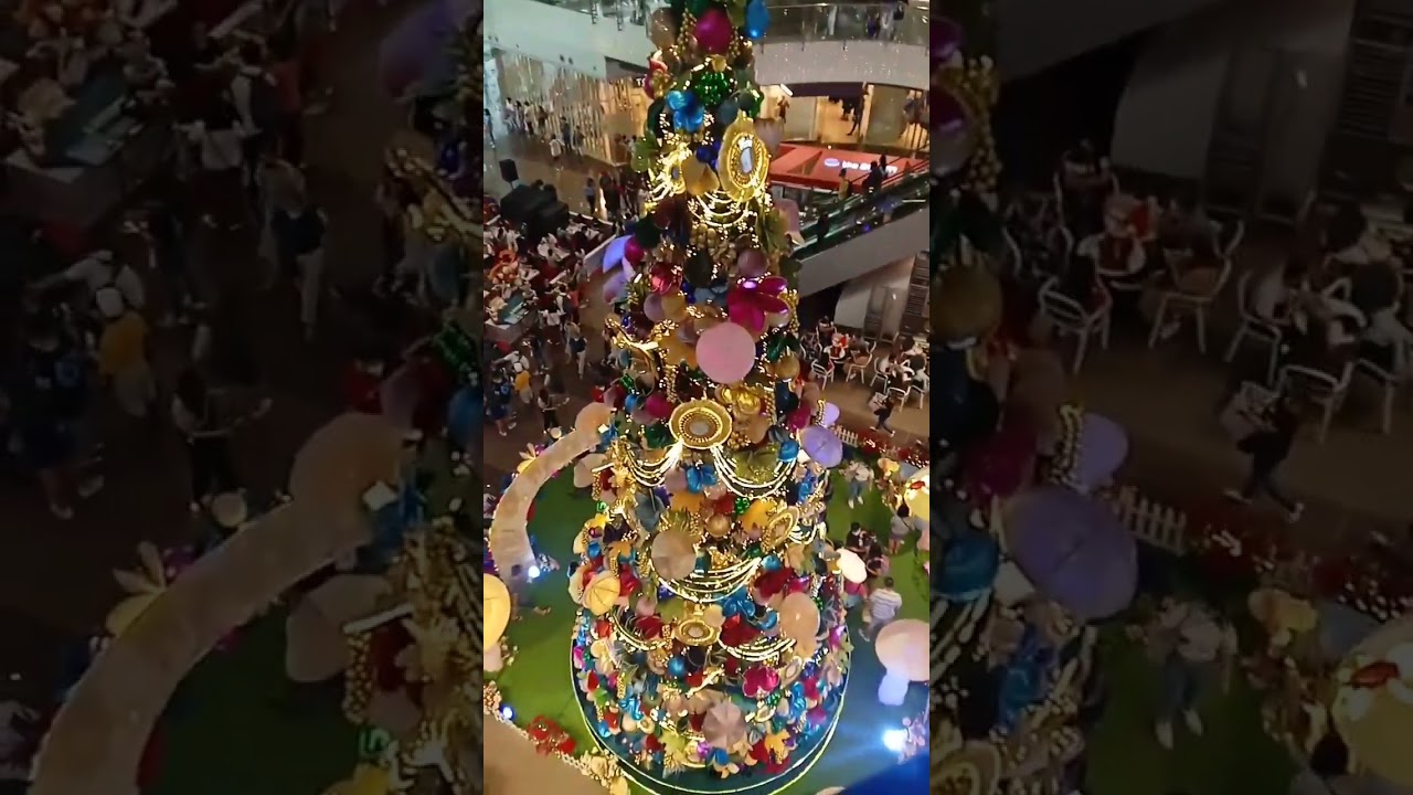 #shortvideo Christmas tree in ROBINSON MAGNOLIA #advancemerrychristmas