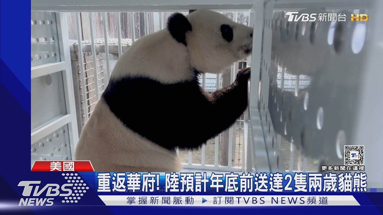 重啟貓熊外交!華府動物園:陸將送2隻貓熊