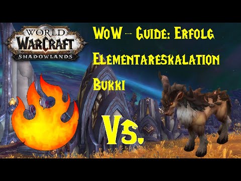 WoW-Guide: Erfolg: Elementareskalation - Bukki - Eine Typfrage
