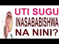 UTI Sugu Inasababishwa Na Nini Jinsi Ya Kuepuka UTI Sugu