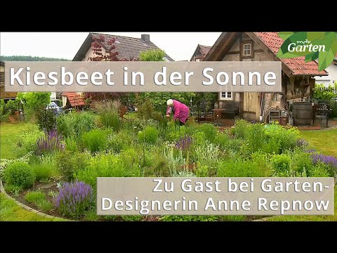 Kiesgarten für Sonnenanbeter: Ein besonderes Beet vorgestellt | MDR
