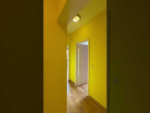 Vidéo