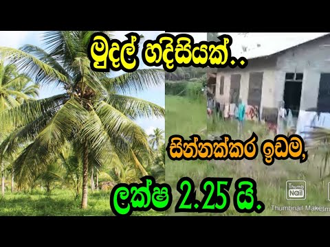 මුදල් හදිසියක් ..ලක්ෂ 2.25 යි .සින්නක්කර ඉඩම .Halawatha land/Podimalli land/www.podimalli.lk