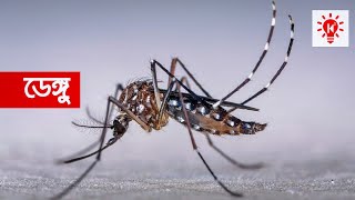 ডেঙ্গু সচেতনতা সর্ম্পকে