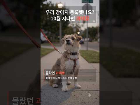 우리 강아지 등록 안 했다고? 10월 지나면 최대 100만원 날아갑니다