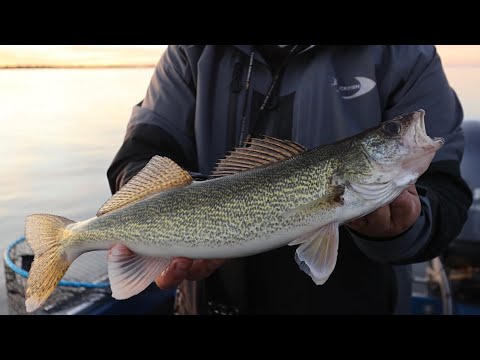 OPEN WATER SEASON IS HERE!! | Fishing Saskatchewan